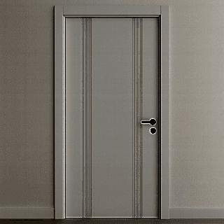 Lake Kapı Camsız B10L63 Modeli